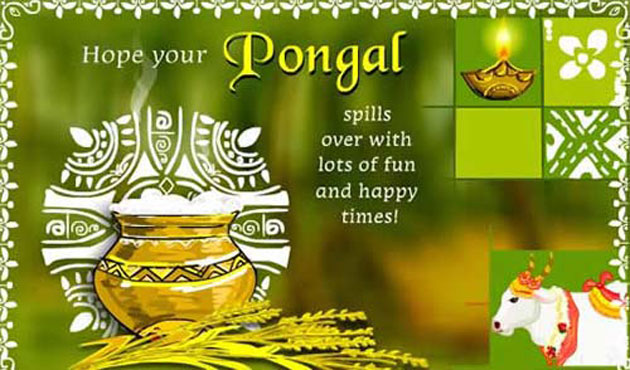  Pongal celebrated by offering special prayers at temples in Tamil Nadu