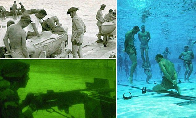 Secret history of Navy SEALS: Inside world of America's James Bonds, the US's most elite warriors