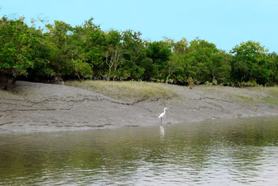 Vagaries of nature driving Sundarban villagers mad - FacenFacts