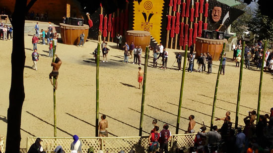 Pole climbing competition at Hornbill Festival