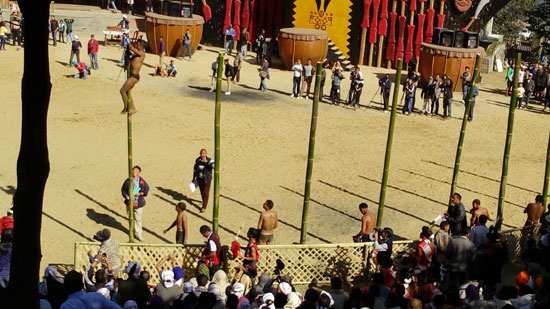 The winner at Pole climbing competition at Hornbill Festival