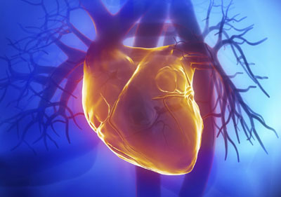 Micropacemaker to treat foetus with heart block - FacenFacts