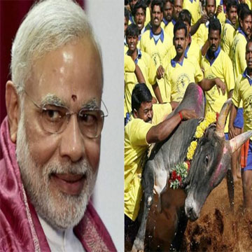 Jallikattu protests: PM Modi says govt taking steps to fulfil Tamil ...